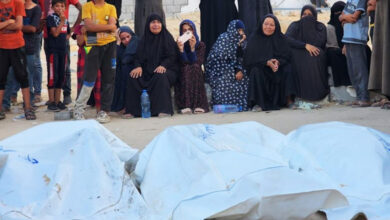 129 Palestinians martyred