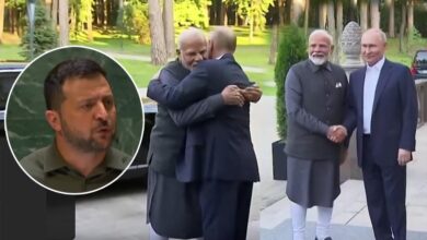 putin modi meet - zelenski