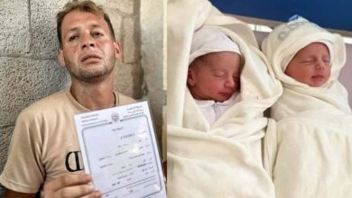 115 infants born and died during Gaza genocide