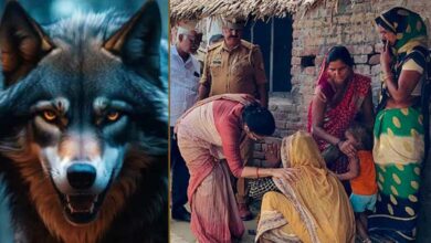 Wolves’ Reign of Terror in UP: Battle Against a Pack of Dangerous Wolves