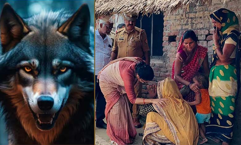 Wolves’ Reign of Terror in UP: Battle Against a Pack of Dangerous Wolves