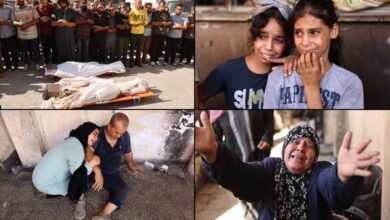 Bloodshed continues on Gaza land 52 Palestinians martyred 118 injured in the last 48 hours