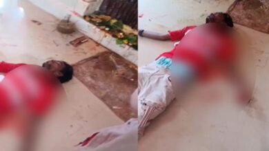 An attempt to sacrifice a cat by cutting its own neck in the temple A heart-wrenching incident took place in Madhya Pradesh