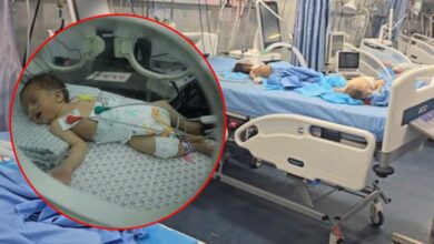 Two infants were martyred in a hospital in Gaza due to the shutdown of ventilator machines by Israeli bombing