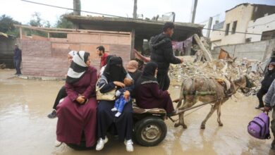 Lives of 15000 pregnant women in Gaza at risk UNRWA