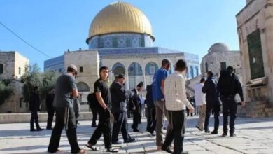 The evil-loving Jewish rioters attacked the first Qibla Performing Talmudic Rituals