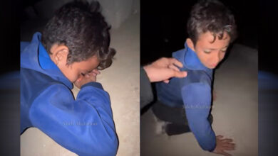 The little Palestinian sleeping every night hugging his mother's grave could not forget his shock