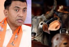 Beef crisis in Goa ahead of Christmas and New Year celebrations. Chief Minister's stern warning to cow vigilantes