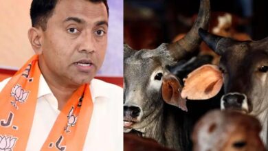 Beef crisis in Goa ahead of Christmas and New Year celebrations. Chief Minister's stern warning to cow vigilantes