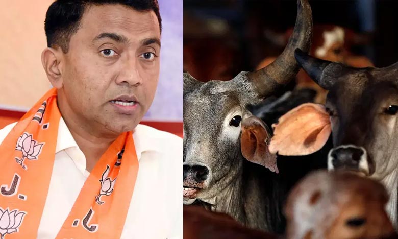 Beef crisis in Goa ahead of Christmas and New Year celebrations. Chief Minister's stern warning to cow vigilantes
