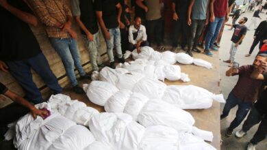 Genocide continues in Gaza Strip 48 more Palestinians martyred