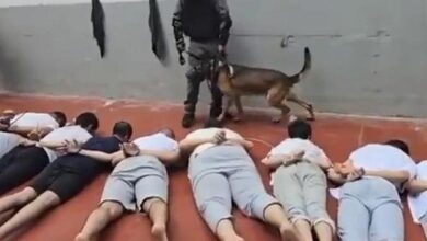 Naftali Camp a center for the detention and torture of Gaza prisoners