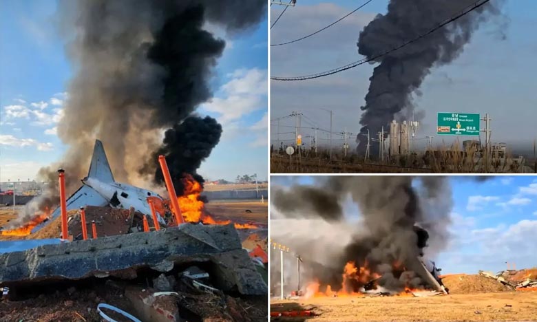 Plane crashes while landing in South Korea 179 people killed