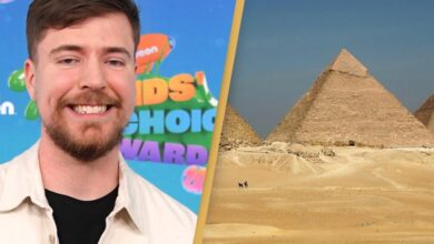 We rented the pyramids in Egypt YouTuber Mr Best statement sparks controversy